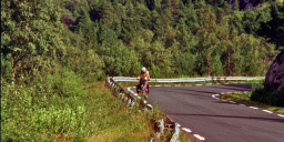 Fahrt von Osen nach Åfjord